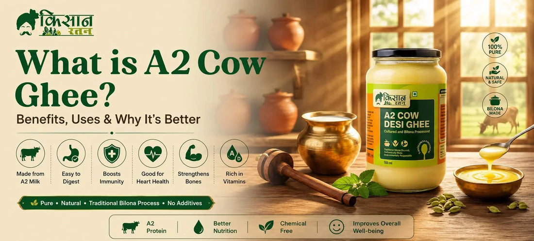 What is A2 Cow Ghee? Benefits, Uses & Why It’s Better - kissanratan