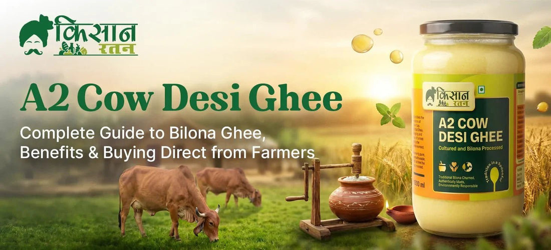 A2 Cow Desi Ghee: Complete Guide to Bilona Ghee, Benefits & Buying Direct from Farmers - kissanratan