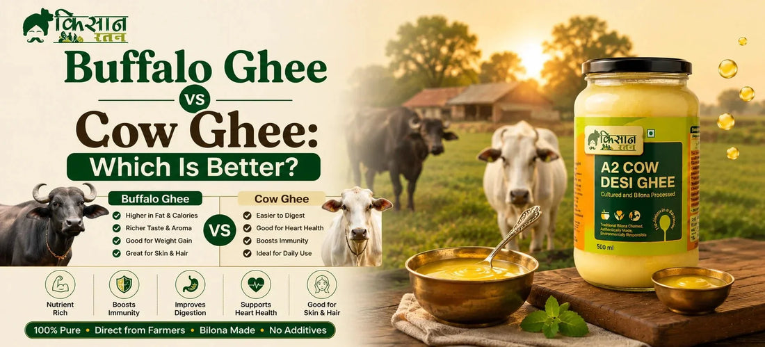 Buffalo Ghee vs Cow Ghee: Which Is Better? - kissanratan