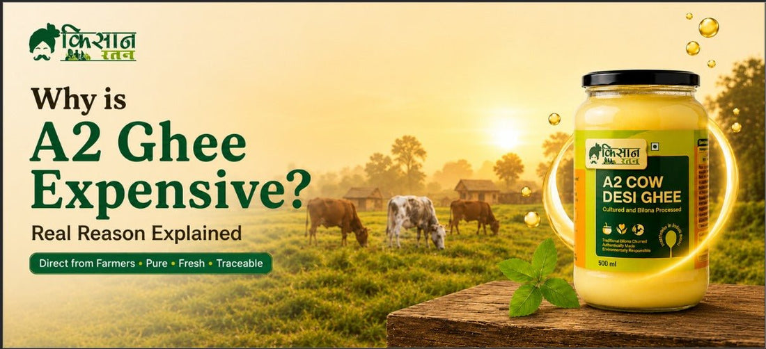 Why is A2 Ghee Expensive? Real Reason Explained - kissanratan