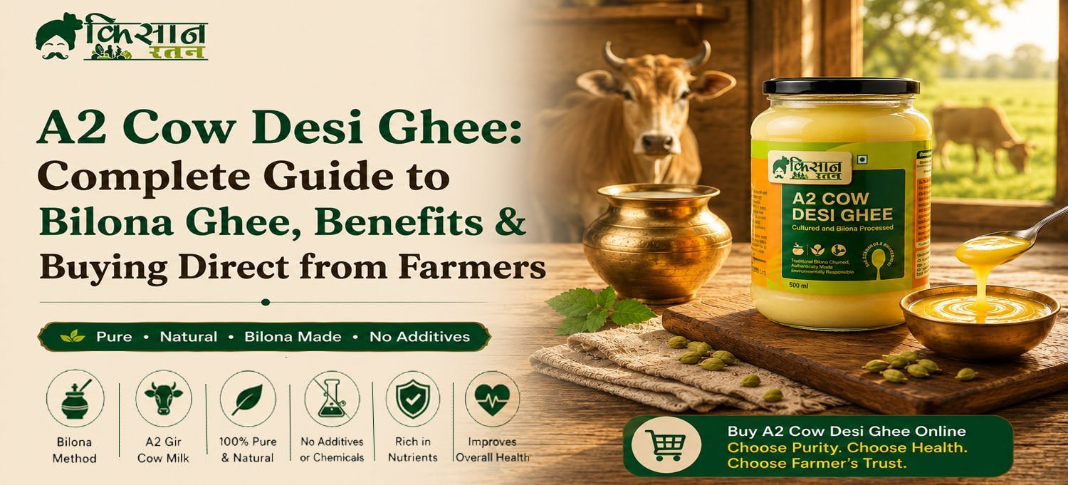 A2 Cow Desi Ghee: Complete Guide to Bilona Ghee, Benefits & Buying Direct from Farmers - kissanratan