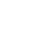 New Launches